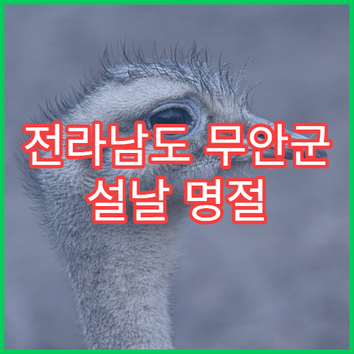 전라남도 무안군 설날 명절 응급의학과 연휴 진료 병원 교통사고·외상 즉시 처치 가능