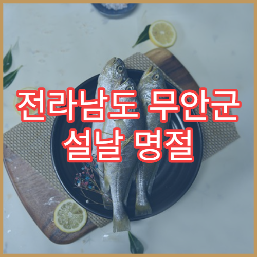 전라남도 무안군 설날 명절 정형외과 연휴 진료 병원 무릎·허리 통증 농어촌 주민 상담 가능