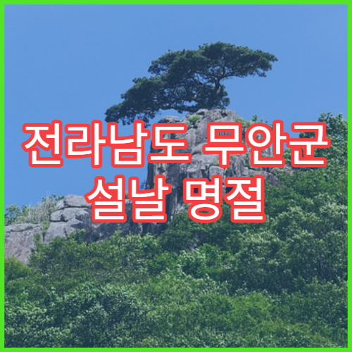 전라남도 무안군 설날 명절 치과 연휴 진료 병원 충치·치통 심야 응급 치료 가능