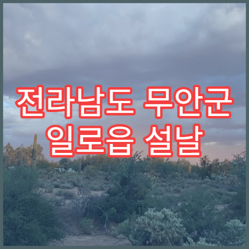 전라남도 무안군 일로읍 설날 명절 연휴 당번 약국 일로읍사무소·일로초등학교 주변 문 여는 약국