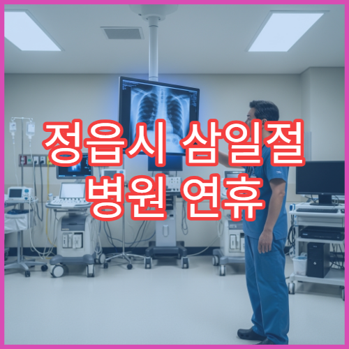 정읍시 삼일절 병원 연휴 응급진료 병원 대체공휴일 운영 안내