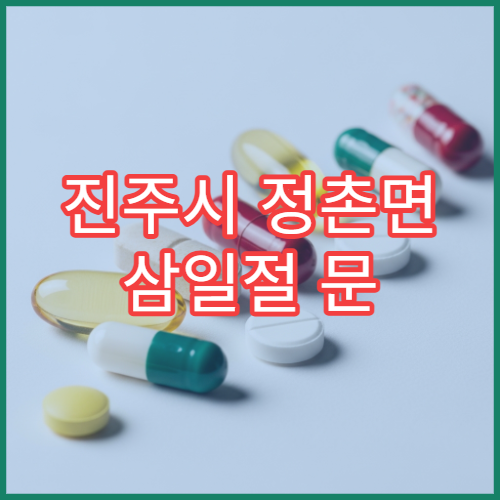 진주시 정촌면 삼일절 문 여는 약국 휴일 운영 약국