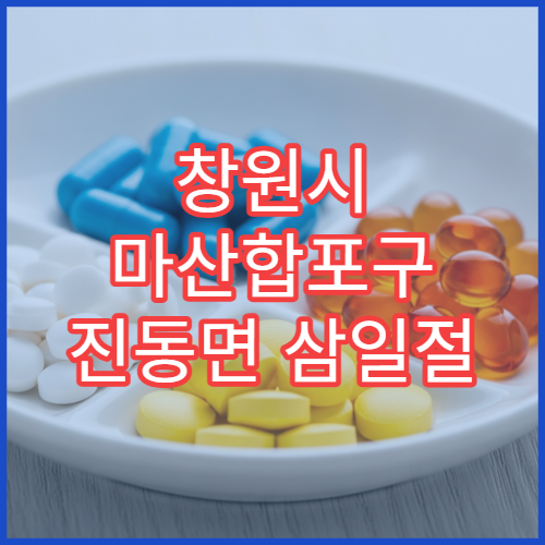 창원시 마산합포구 진동면 삼일절 대체공휴일 문 여는 약국
