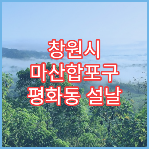 창원시 마산합포구 평화동 설날 명절 연휴 당직약국 응급의약품 취급
