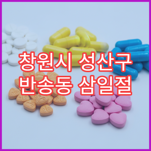 창원시 성산구 반송동 삼일절 대체공휴일 당번약국