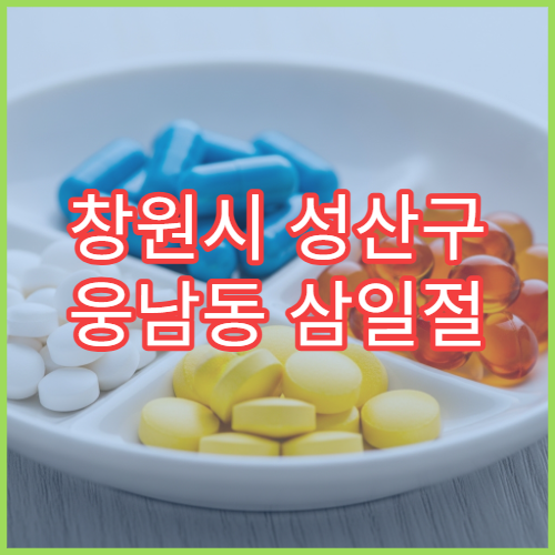 창원시 성산구 웅남동 삼일절 대체공휴일 문 여는 약국