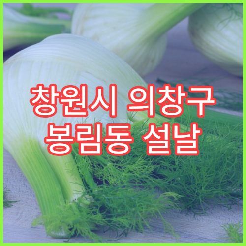 창원시 의창구 봉림동 설날 명절 연휴 당직약국 처방전 조제 가능