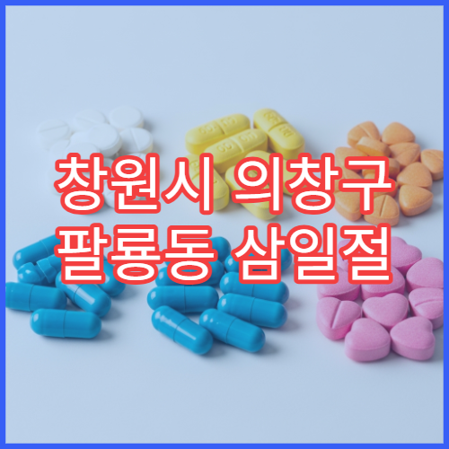 창원시 의창구 팔룡동 삼일절 대체공휴일 영업 약국
