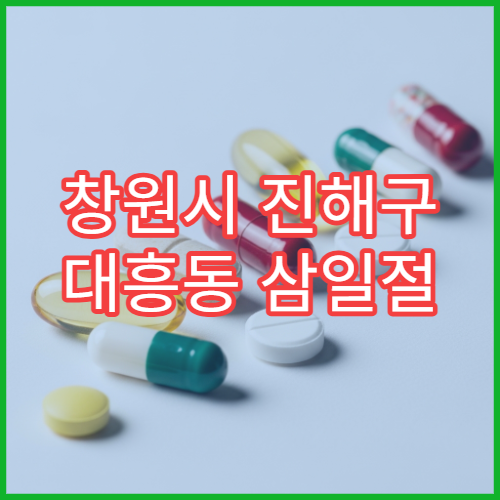 창원시 진해구 대흥동 삼일절 대체공휴일 당직 약국