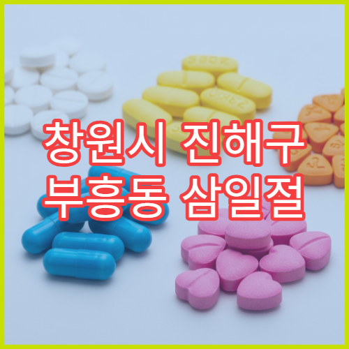 창원시 진해구 부흥동 삼일절 대체공휴일 영업 약국