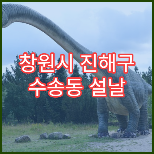창원시 진해구 수송동 설날 명절 연휴 당직약국 24시간 영업 정보