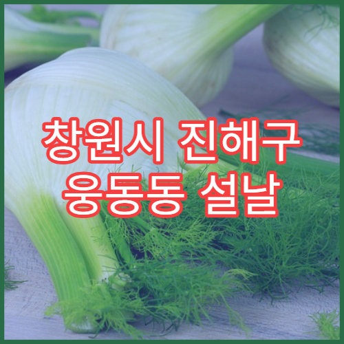 창원시 진해구 웅동동 설날 명절 연휴 당번약국 감기약 판매 중