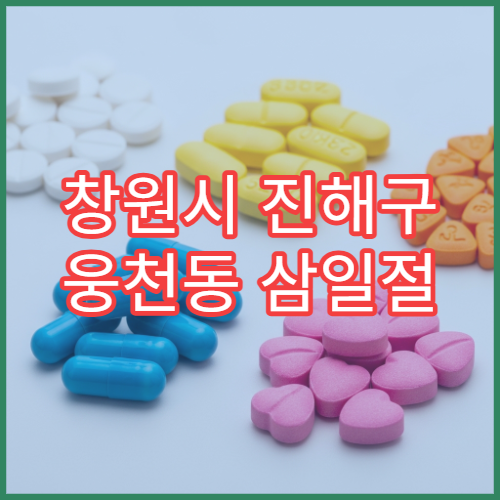 창원시 진해구 웅천동 삼일절 대체공휴일 문 여는 약국