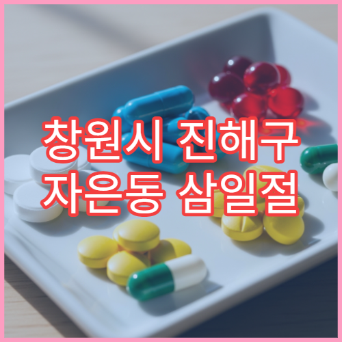 창원시 진해구 자은동 삼일절 대체공휴일 영업 약국