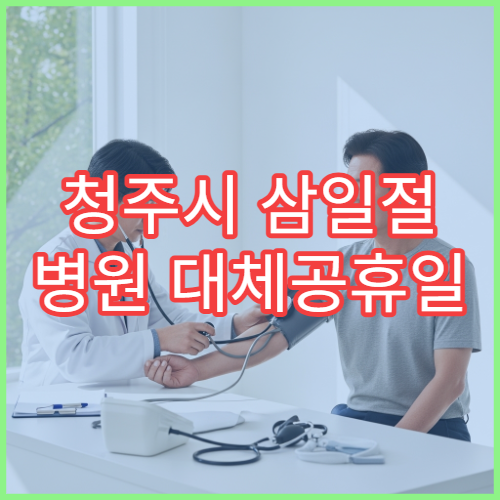 청주시 삼일절 병원 대체공휴일 연휴 응급실 운영 병원 정보