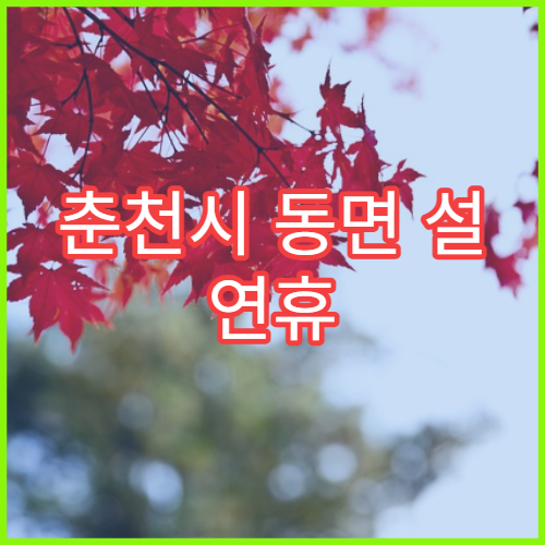 춘천시 동면 설 연휴 당번약국 위치와 영업시간 확인하기