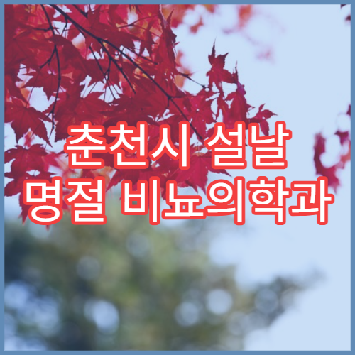 춘천시 설날 명절 비뇨의학과 연휴 진료 병원 요로결석·전립선염 치료