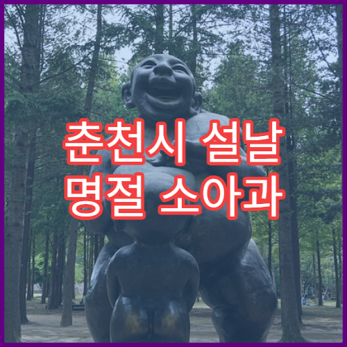 춘천시 설날 명절 소아과 연휴 진료 병원 발열·설사 영유아 응급 진료