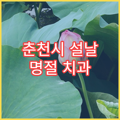 춘천시 설날 명절 치과 연휴 진료 병원 충치·치통 응급 치료 가능