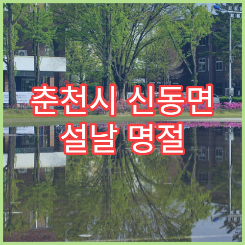 춘천시 신동면 설날 명절 당직약국 영업시간 정보 확인