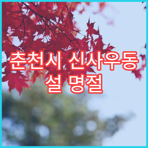 춘천시 신사우동 설 명절 당번약국 밤늦게 운영 위치