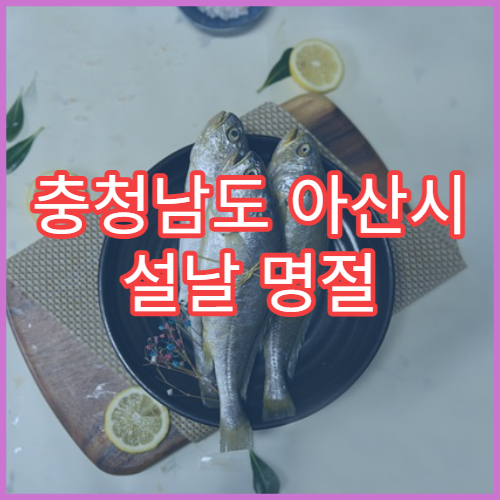 충청남도 아산시 설날 명절 소아과 연휴 진료 병원 영유아 발열·설사 상담 가능