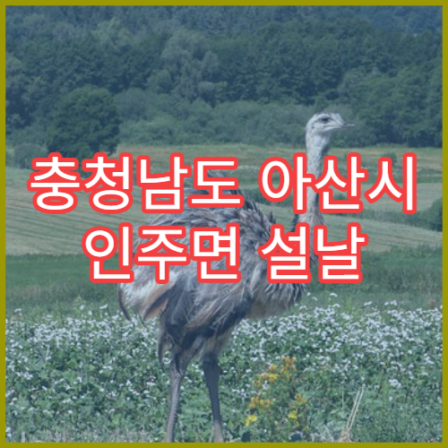 충청남도 아산시 인주면 설날 명절 연휴 당번약국 인주면사무소 농업지역 처방전 확인