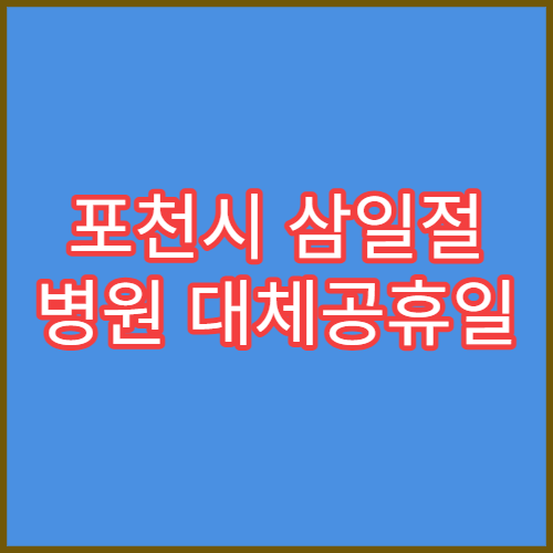 포천시 삼일절 병원 대체공휴일 연휴 문 여는 병원 안내