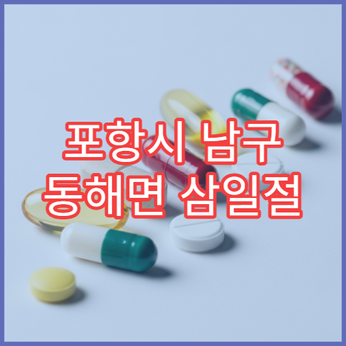 포항시 남구 동해면 삼일절 공휴일·대체공휴일 문 여는 약국 타이레놀 구매 가능