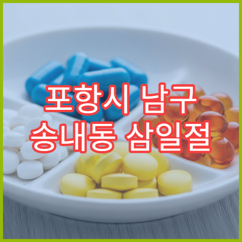 포항시 남구 송내동 삼일절 공휴일·대체공휴일 휴일 영업 약국 안내