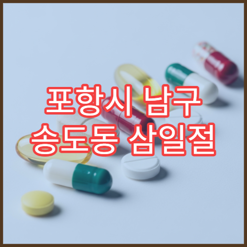 포항시 남구 송도동 삼일절 공휴일·대체공휴일 당번약국 어린이 해열제 구매 가능