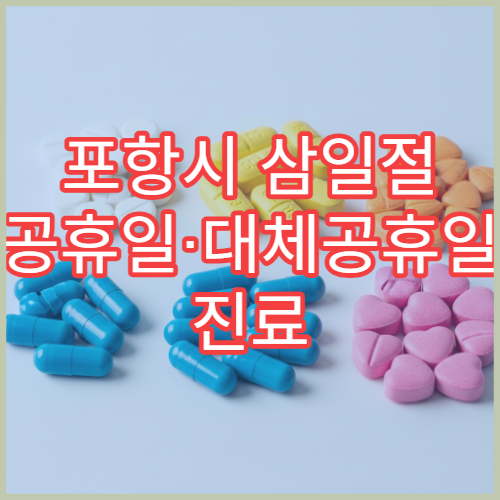 포항시 삼일절 공휴일·대체공휴일 진료 병원 응급실·소아과·내과 운영