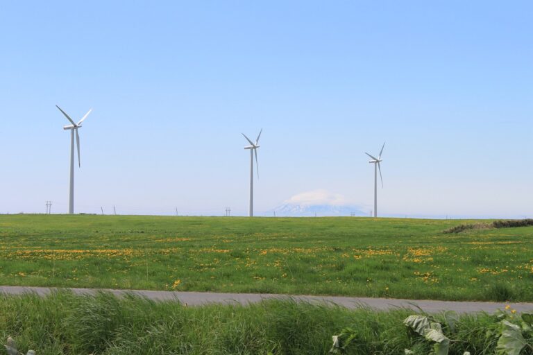 경기 알레르기 비염 예방을