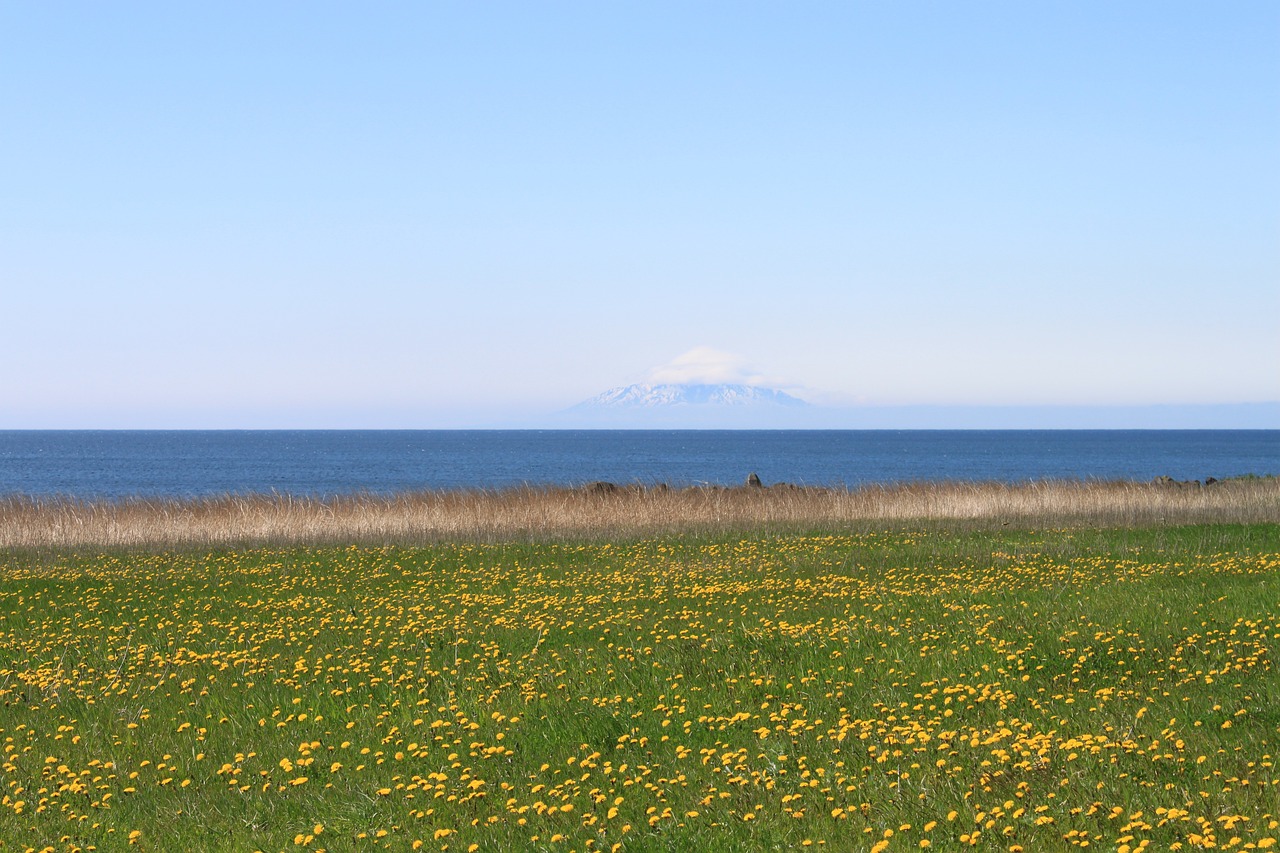 광주 꽃가루 비염 심할