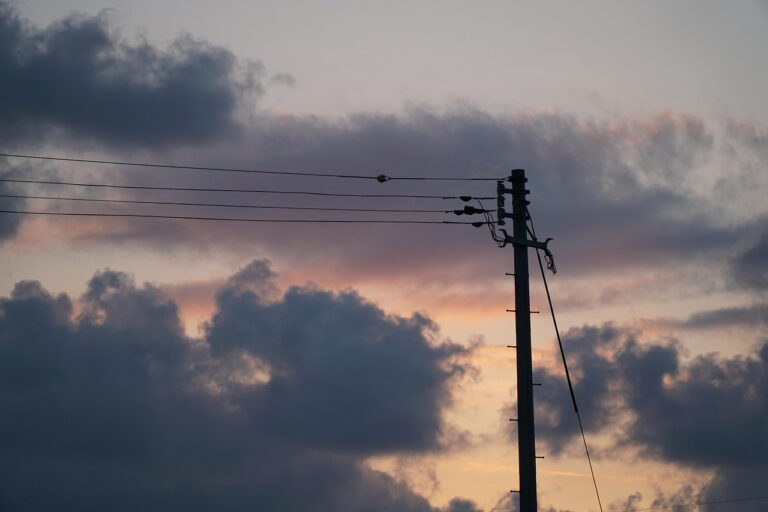 울산 꽃가루 비염 심할