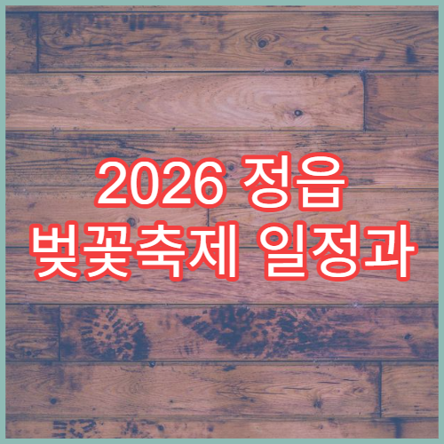 2026 정읍 벚꽃축제 일정과 정읍천 벚꽃 개화시기 총정리