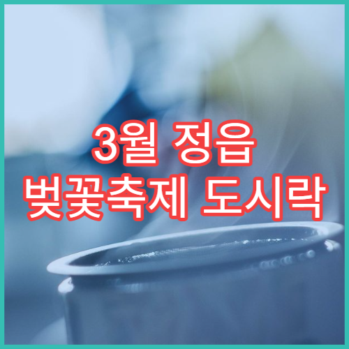 3월 정읍 벚꽃축제 도시락 싸가기 좋은 잔디광장 위치 안내