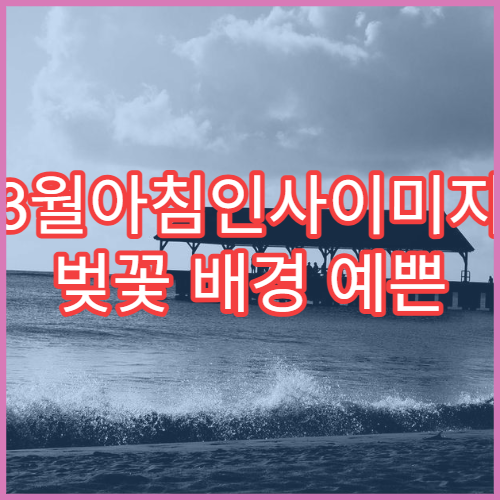 3월아침인사이미지 벚꽃 배경 예쁜 SNS 직장인 공유용