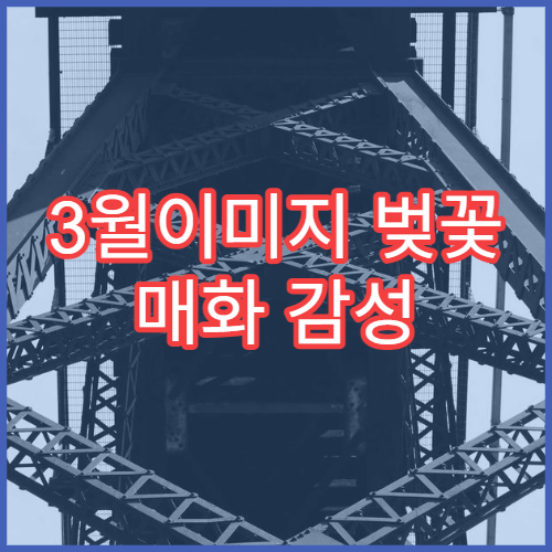 3월이미지 벚꽃 매화 감성 배경화면 무료 다운로드 모음