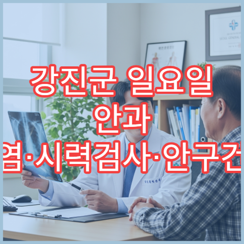 강진군 일요일 안과 결막염·시력검사·안구건조증 치료 병원
