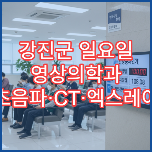 강진군 일요일 영상의학과 초음파·CT·엑스레이 검사 가능 병원