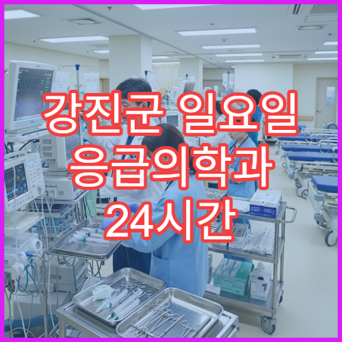 강진군 일요일 응급의학과 24시간 응급실 운영 및 야간진료 병원