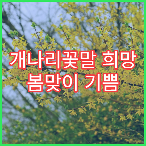 개나리꽃말 희망 봄맞이 기쁨 의미 유래 노란 봄꽃 상징