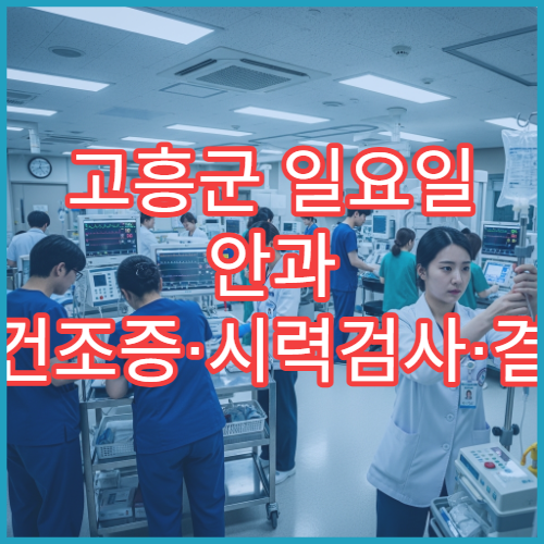 고흥군 일요일 안과 안구건조증·시력검사·결막염 진료 병원