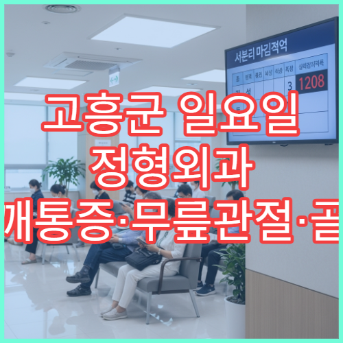 고흥군 일요일 정형외과 어깨통증·무릎관절·골절 치료 병원