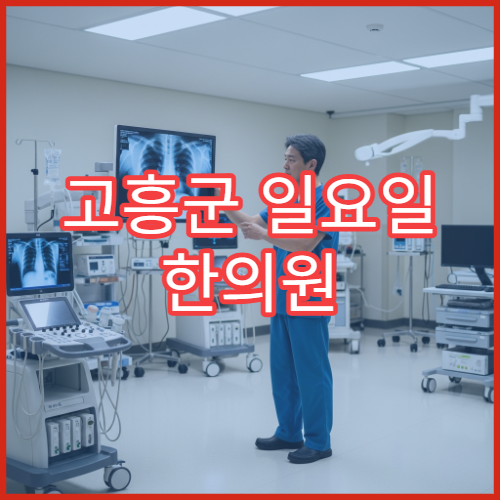 고흥군 일요일 한의원 추나치료·허리통증·관절통 한방진료
