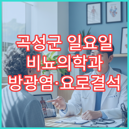 곡성군 일요일 비뇨의학과 방광염·요로결석 정밀 검사 병원