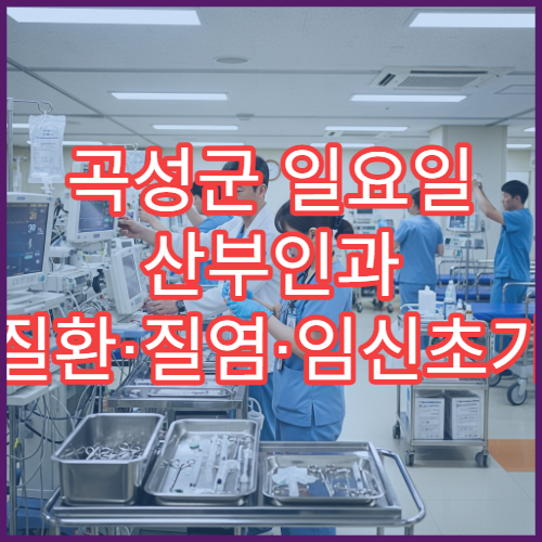 곡성군 일요일 산부인과 여성질환·질염·임신초기검사 진료 병원