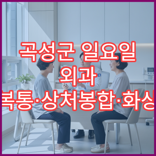 곡성군 일요일 외과 복통·상처봉합·화상 응급처치 가능 병원