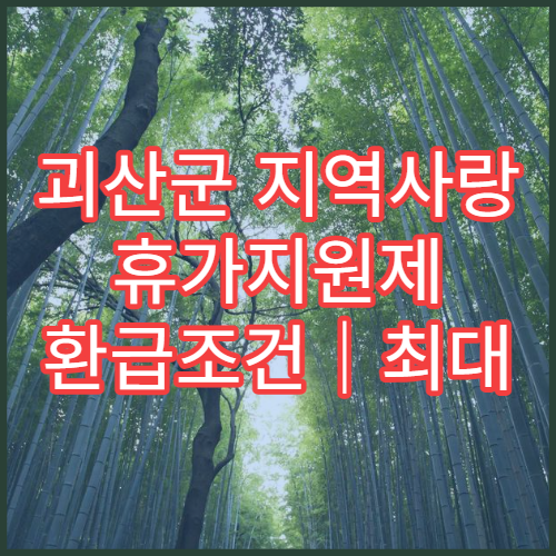 괴산군 지역사랑 휴가지원제 환급조건｜최대 10만원 받기